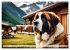 Gigant Bernhardiner (Wandkalender 2026... - Bild 12