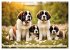 Gigant Bernhardiner (Wandkalender 2026... - Bild 14