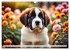 Gigant Bernhardiner (Wandkalender 2026... - Bild 15