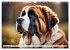 Gigant Bernhardiner (Wandkalender 2026... - Bild 4
