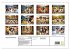 Gigant Bernhardiner (Wandkalender 2026... - Bild 6