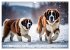 Gigant Bernhardiner (Wandkalender 2026... - Bild 7