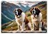 Gigant Bernhardiner (Wandkalender 2026... - Bild 8