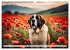 Gigant Bernhardiner (Wandkalender 2026... - Bild 9