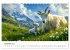 Ziegen - Bocksprung durch das Jahr... - Bild 5