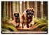 Leonberger - der zahme Löwe... - Bild 2