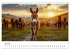 Esel - neugierige Typen (Wandkalender... - Bild 12