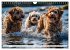 Begeisterte Wasserratten (Wandkalender... - Bild 7