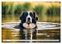 Begeisterte Wasserratten (hochwertiger... - Bild 12