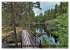 Wandern in Schweden - Einladung in die... - Bild 10