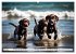 Begeisterte Wasserratten (Wandkalender... - Bild 12