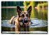Begeisterte Wasserratten (Wandkalender... - Bild 14