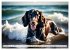 Begeisterte Wasserratten (Wandkalender... - Bild 4