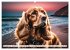 Begeisterte Wasserratten (Wandkalender... - Bild 5