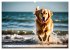 Begeisterte Wasserratten (Wandkalender... - Bild 9