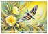 Schmetterlinge und ihre Blumenfreunde... - Bild 14