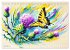 Schmetterlinge und ihre Blumenfreunde... - Bild 4