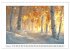 Birkenzauber (Wandkalender 2026 DIN A3... - Bild 7