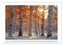 Birkenzauber (Wandkalender 2026 DIN A3... - Bild 8