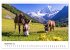 Esel - neugierige Typen (Wandkalender... - Bild 15