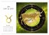 Ein Jahr in Gold (Wandkalender 2026 DIN... - Bild 11