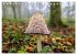 Fantastische Pilzwelten (Tischkalender... - Bild 11