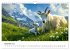 Ziegen - Bocksprung durch das Jahr... - Bild 5
