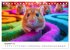 Hamster im Freizeitpark - Lustiger... - Bild 5