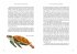 Das große Buch der Evolution - Bild 2