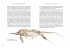 Das große Buch der Evolution - Bild 3