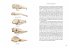 Das große Buch der Evolution - Bild 6