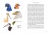 Das große Buch der Evolution - Bild 7