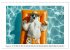 Heißer Sommer (Wandkalender 2026 DIN... - Bild 14