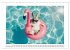 Heißer Sommer (Wandkalender 2026 DIN... - Bild 4