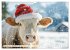 KÜHE AUF DER ALM - Der Kalender aus... - Bild 5