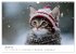 Zauberhafte Katzenbabys (Wandkalender... - Bild 7