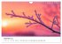 Minimalistische Naturmomente - Ruhe und... - Bild 5