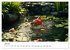 Sportliche Gartenzwerge (Wandkalender... - Bild 13