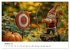 Sportliche Gartenzwerge (Wandkalender... - Bild 3
