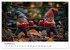 Sportliche Gartenzwerge (Wandkalender... - Bild 4