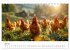 Hühner Federvieh (Tischkalender 2026... - Bild 13