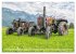 Traktoren - Nostalgie auf dem Bauernhof... - Bild 11