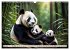 Große und kleine Bären (Wandkalender... - Bild 12