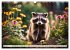 Große und kleine Bären (Wandkalender... - Bild 13