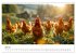 Hühner Federvieh (Wandkalender 2026... - Bild 13