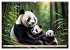 Große und kleine Bären (Wandkalender... - Bild 12