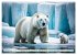 Große und kleine Bären (Wandkalender... - Bild 5