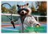Der tierisch lustige Tennis-Kalender... - Bild 11