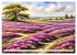 Zauberhafte Niederlande (Tischkalender... - Bild 5