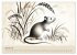Chinesische Tierkreiszeichen -... - Bild 6